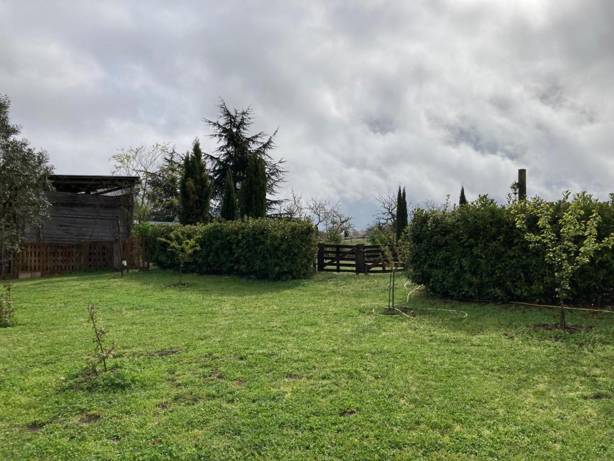 Podere Delle Rose Torre San Severo Bagian luar foto