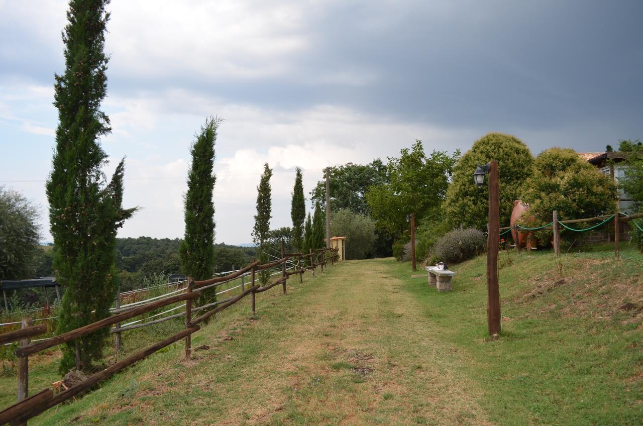 Podere Delle Rose Torre San Severo Bagian luar foto