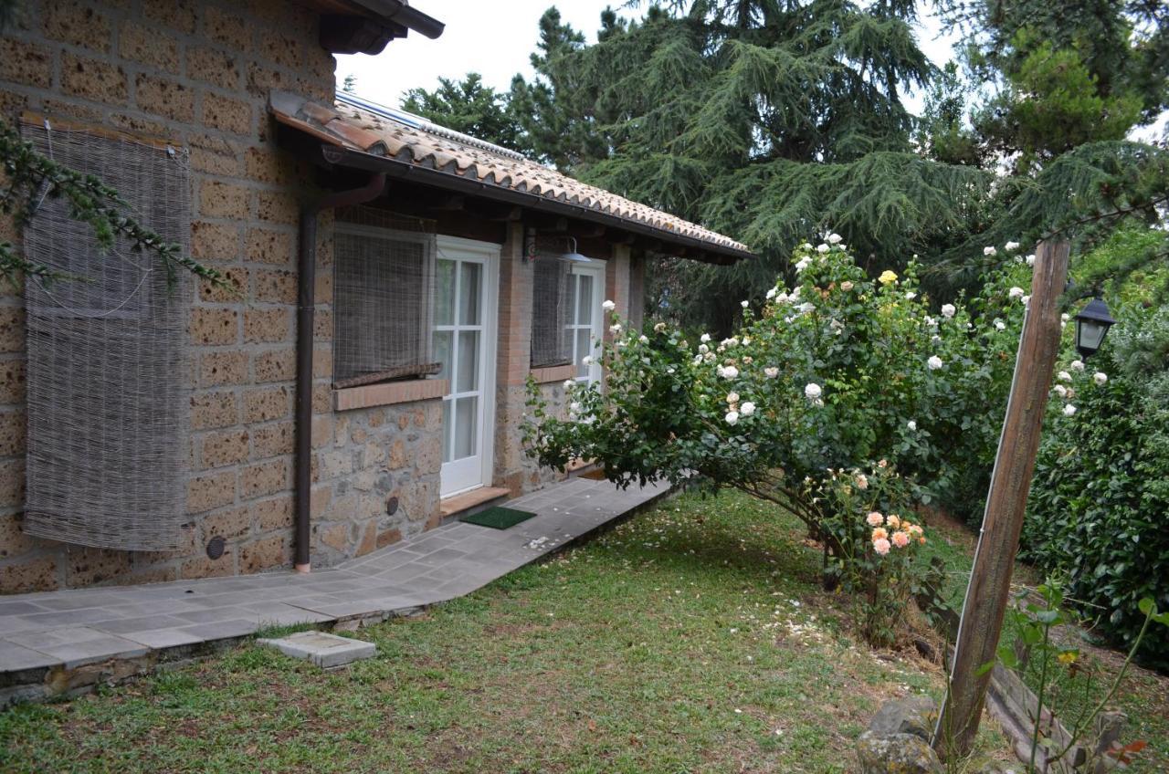 Podere Delle Rose Torre San Severo Bagian luar foto